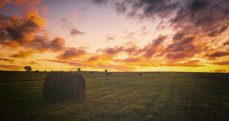 Scenic of sunset over hay bales in a field. Golden light bathes the landscape, creating a tranquil scene. For agriculture, travel and inspiring greeting card designs. Vintage film aesthetic.の写真素材