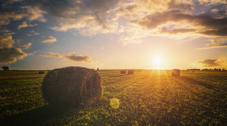 Scenic of sunset over hay bales in a field. Golden light bathes the landscape, creating a tranquil...