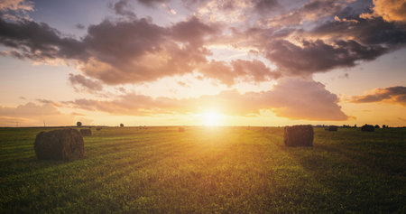 Scenic of sunset over hay bales in a field. Golden light bathes the landscape, creating a tranquil...