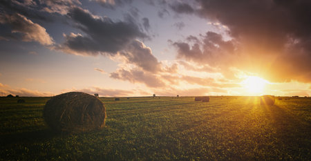 Scenic of sunset over hay bales in a field. Golden light bathes the landscape, creating a tranquil...