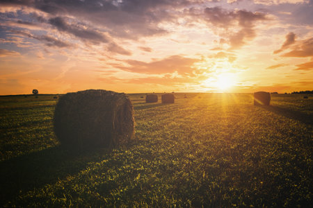 Scenic of sunset over hay bales in a field. Golden light bathes the landscape, creating a tranquil...