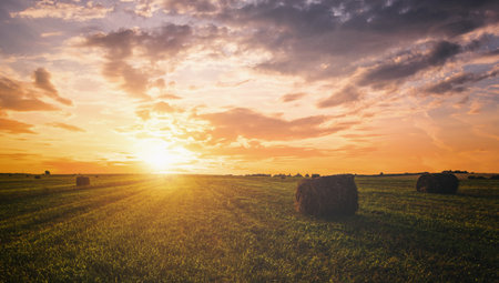 Scenic of sunset over hay bales in a field. Golden light bathes the landscape, creating a tranquil...