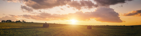 Scenic of sunset over hay bales in a field. Golden light bathes the landscape, creating a tranquil scene. For agriculture, travel and inspiring greeting card designs. Vintage film aesthetic.の写真素材