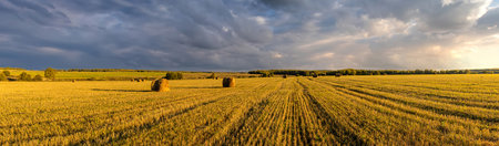 Haystack bale on a golden field landscape at sunset or sunrise. Rural agricultural scene with bales of hay. Countryside harvest concept.の写真素材