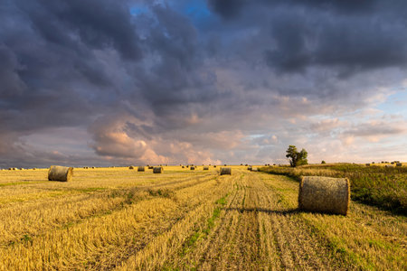 Haystack bale on a golden field landscape at sunset or sunrise. Rural agricultural scene with bales...