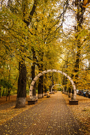 Paved alley in autumn park with yellow fallen leaves and trees in golden foliage, with decorative archway and parked cars aside.の写真素材
