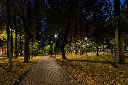 Evening view of a park alley illuminated with string lights, creating a magical atmosphere for holidays and celebrations, an autumn night scene.の写真素材