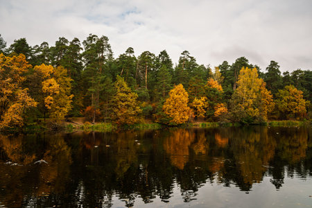 Autumn trees with colorful foliage reflected on the dark water surface of a lake. Scenic fall landscape for nature background.の写真素材