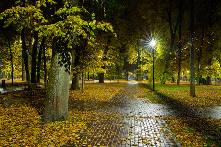 Empty park alley at night with fallen golden leaf and glowing street light. Autumn landscape with warm illumination for seasonal backgrounds.の写真素材
