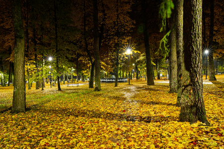 Empty park alley at night with fallen golden leaf and glowing street light. Autumn landscape with warm illumination for seasonal backgrounds.の写真素材