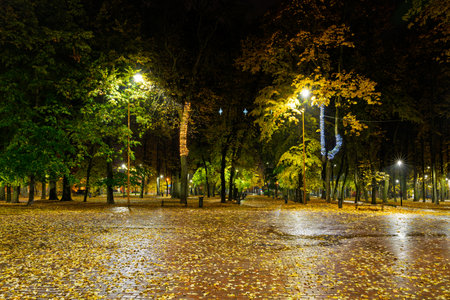 Empty park alley at night with fallen golden leaf and glowing street light. Autumn landscape with warm illumination for seasonal backgrounds.の写真素材