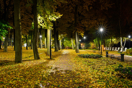 Empty park alley at night with fallen golden leaf and glowing street light. Autumn landscape with warm illumination for seasonal backgrounds.の写真素材