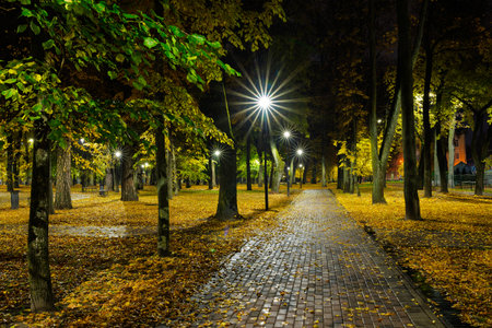 Empty park alley at night with fallen golden leaf and glowing street light. Autumn landscape with warm illumination for seasonal backgrounds.の写真素材