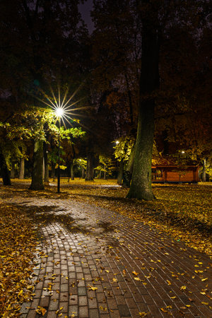 Paved pathway illuminated by streetlights in an autumn park at dusk, surrounded by trees with colorful fallen leaves. Serene evening outdoor scene for calm mood.の写真素材