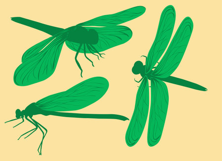 set green dragonfly symbol elements for designのイラスト素材