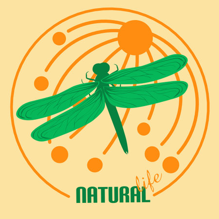 dragonfly natural symbol vector illustration for designのイラスト素材
