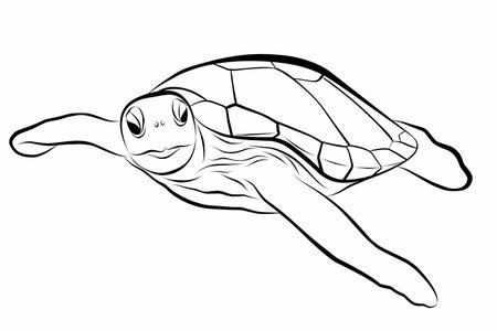 Vector illustration of sea turtle on white background. Perfect for invitations, greeting cards, postcard, fashion print, banners, poster for textiles, fashion design.のイラスト素材