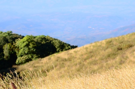 Mountains Inthanon, Chiang Mai, Thailand.の写真素材