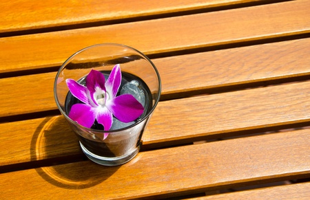 pink orchid in the glass.の写真素材