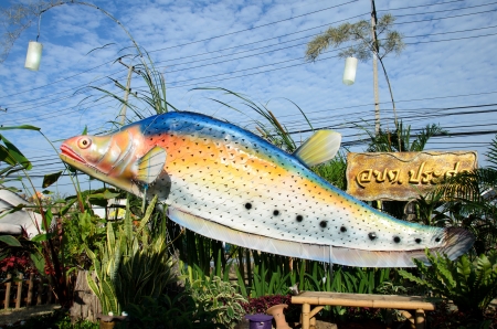 SINGBURI - DECEMBER 25: Fish Festival and one tombon one product (OTOP) of Sing Buri's the 18th on December 25, 2012 in Singburi, Thailand.のeditorial素材