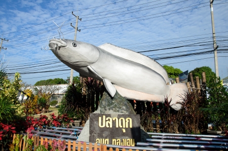 SINGBURI - DECEMBER 25: Fish Festival and one tombon one product (OTOP) of Sing Buri's the 18th on December 25, 2012 in Singburi, Thailand.のeditorial素材