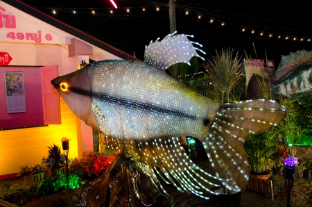 SINGBURI - DECEMBER 25: Fish Festival and one tombon one product (OTOP) of Sing Buri's the 18th on December 25, 2012 in Singburi, Thailand.のeditorial素材