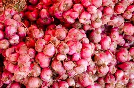 shallot is ingredient of thai food and catchupの写真素材