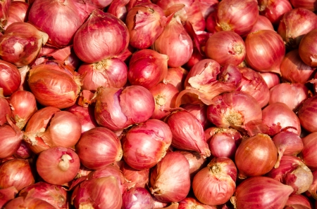 shallot is ingredient of thai food and catchupの写真素材