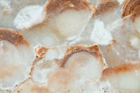 Natural stone surface, background or texture.の写真素材