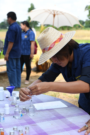 SINGBURI - THAILAND 18 : Farmers planting rice by demonstrating sufficient economy like Kings and...