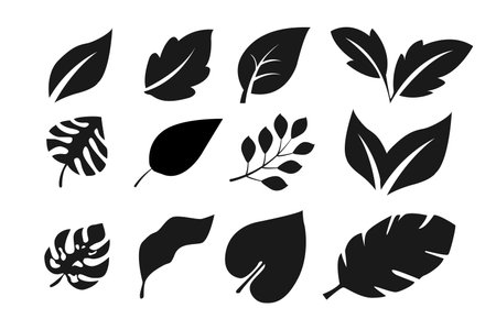 collection of leaf designs in silhouette style on white isolated background.のイラスト素材