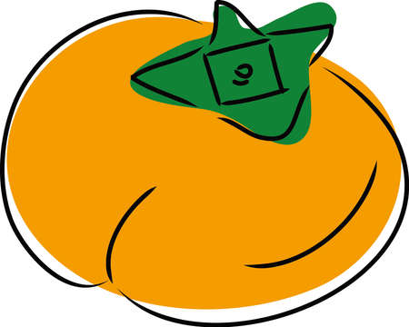 Delicious and delicious fruit persimmonのイラスト素材