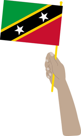 Saint Kitts and Nevis Flag hand drawn,East Caribbean dollar hand drawnのイラスト素材