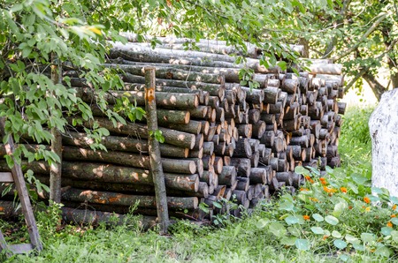 A stack of firewood.