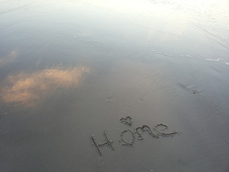 wildlife nature and moreの写真素材