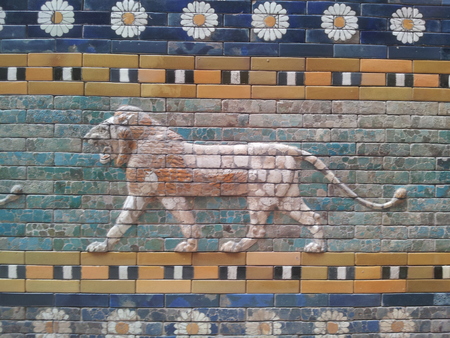 wildlife nature and moreの写真素材