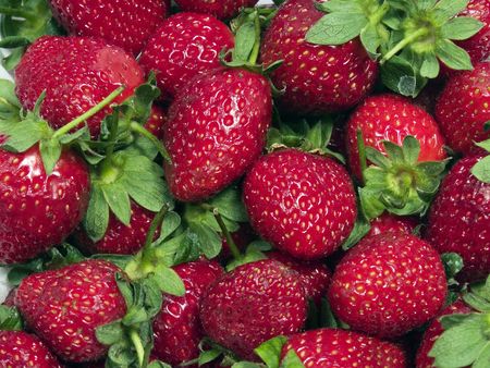 A lot straberry close up or marco shotの写真素材