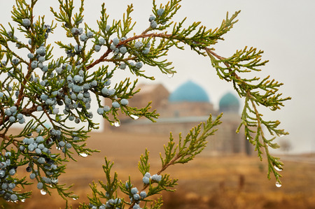 Types of the city of Turkestan. Turkistan, is a city in the South Kazakhstan Region of Kazakhstan, near the Syr Darya river.の写真素材