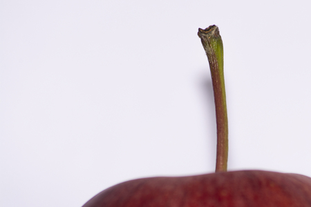 Palo macro red appleの写真素材