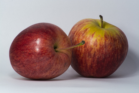 Two apples on white gradient backgroundの写真素材