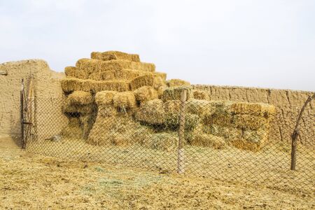 Haystack for the winter in a sheepfold. Kazakh village - "aul"の写真素材