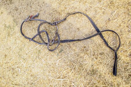 Bridle - horse control equipment in the villageの写真素材