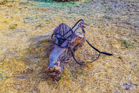 Bridle - horse control equipment in the villageの写真素材