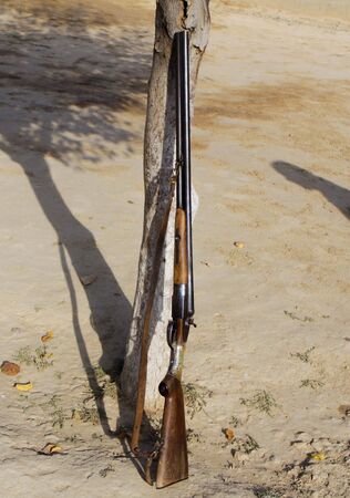Double-barreled gun leaning against a treeの写真素材