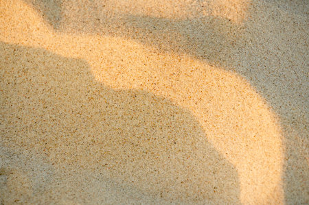 Sand texture background. Sandy beach with shadow of a tree on the sand.の写真素材