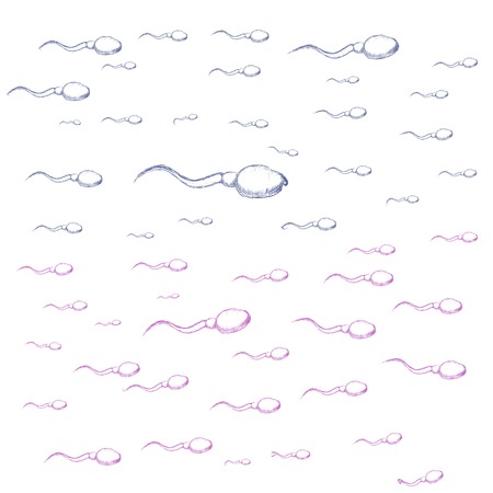 Sketch of blue and pink semen on white background.のイラスト素材