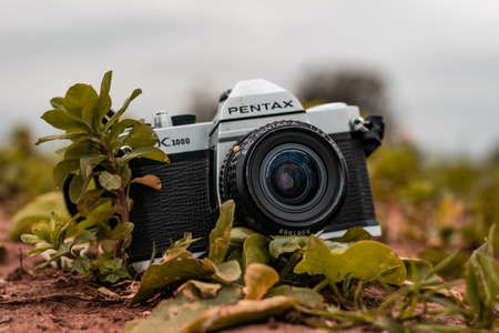 Morocco, Casablanca - January 30, 2021: An old film camera PENTAX K1000 is displayed inside a green grass in nature.のeditorial素材