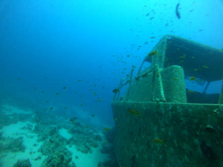 Sea pollution in metals and other garbage in the Red Sea