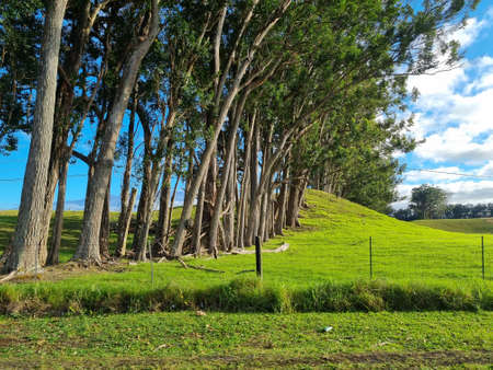 Amazing landscapes of Big Island Hawaii Views of Hawaiiの写真素材