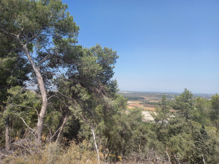 Amazing Landscapes of Israel, Views of the Holy Landの写真素材